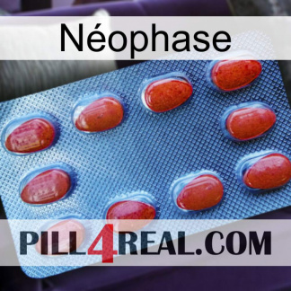 Néophase 06